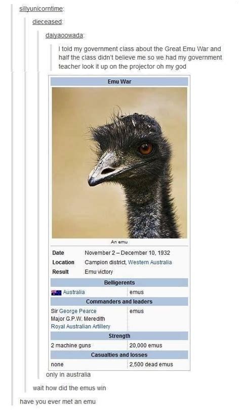 Emu War | Know Your Meme