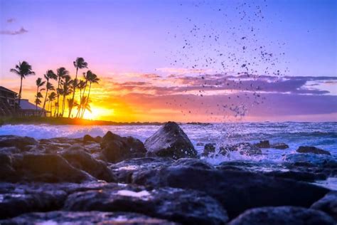 14 Best Spots to Watch the Sunset in Kauai (2024)