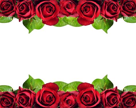 Red Rose Border Floral Border Design Flower Border Png Flower Frame ...