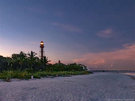 The Famous Beaches of Sanibel: A Local’s Guide to the Best Island ...