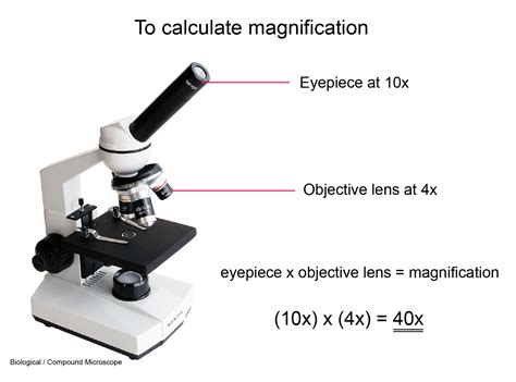 CLIL: Magnification: Compound Microscope