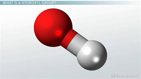 Hydroxyl Group: Definition, Structure & Formula - Video & Lesson ...