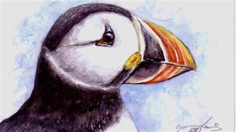 Puffin Painting at PaintingValley.com | Explore collection of Puffin ...