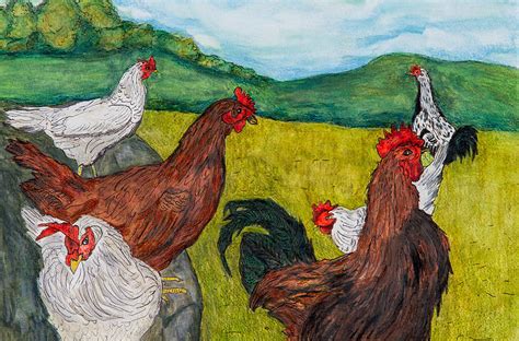 Chicken Flock Drawing by Sandee Johnson