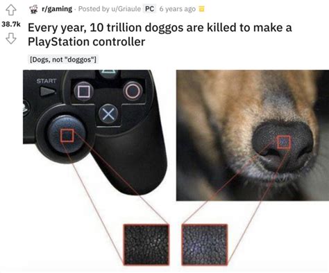 Dog Nose and PlayStation Controller Meme | Is It Really Worth It ...