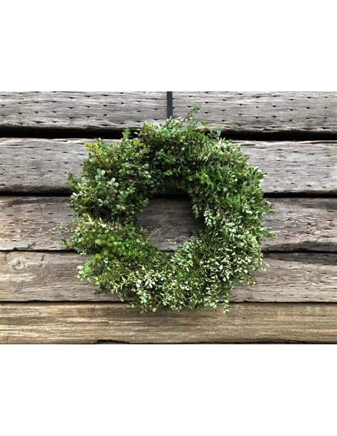 Boxwood Wreath 24"