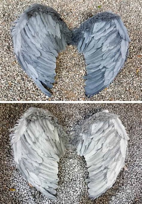 grey angel wings wall art Off 68%