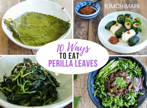 How to eat Perilla - 10 ways to enjoy them in Korean cooking! | Korean ...