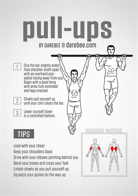 What Muscle Groups Do Pull Ups Work - Photos Idea