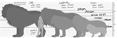 general dire wolf size chart | Dire wolf size, Dire wolf, Wolf art fantasy