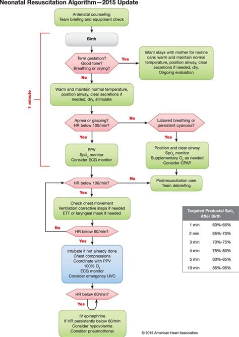 AHA 2015 neonatal resuscitation algorithm - First10EM