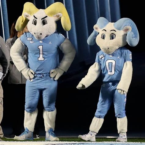 Rameses & R.J. - North Carolina Tar Heels Mascots | Mascot, North ...