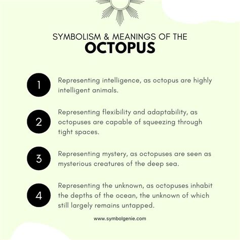 Octopus: Symbolism, Meanings, and History - Symbol Genie