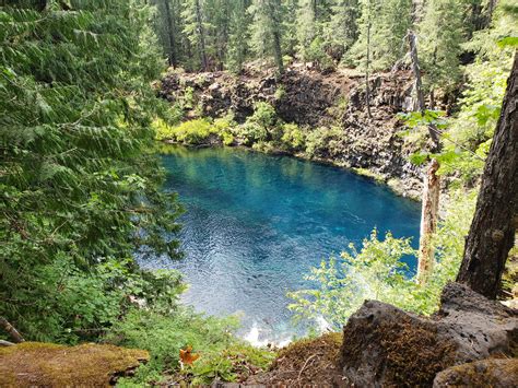 Tamolitch Falls (Blue Pool) Willamette National Forest 🌲 : r ...