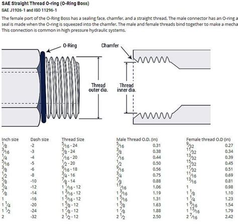 Sae O Ring Size Chart - Chart Examples