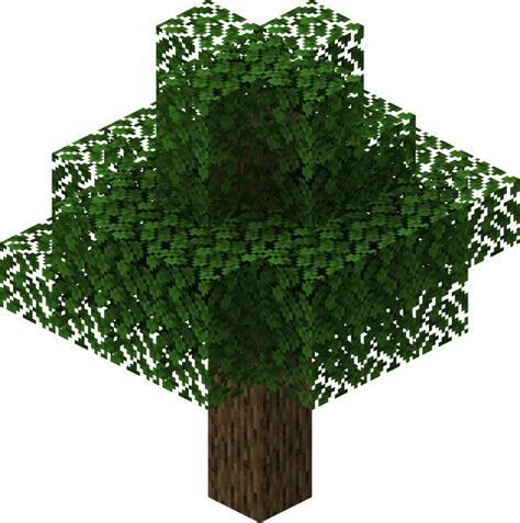 Oak – Minecraft Wiki