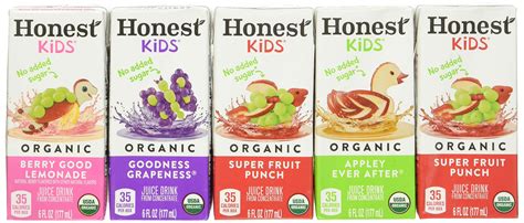 Honest Kids Honest Kids Organic Juice Boxes, 6 Fl Oz, Pack of 40 for ...