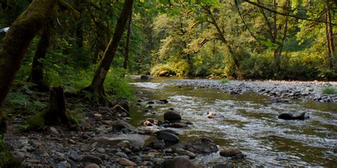 Trout Creek Campground - camping in Oregon