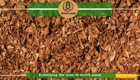 Wood Chip Mulch Pros And Cons - Mulch vs Wood Chips - Finland Wood