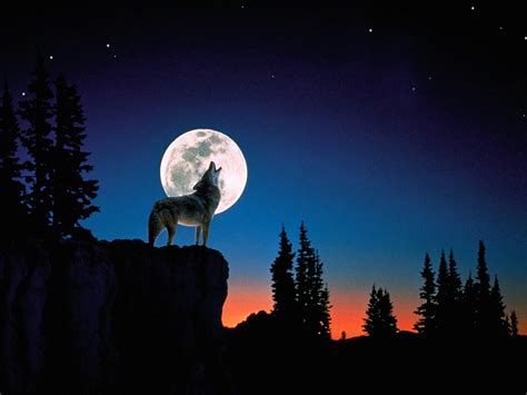 Wolf Moon Minimalist Wallpapers - Wallpaper Cave