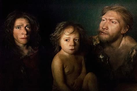 Neanderthal DNA linked to higher fertility in modern humans | New Scientist