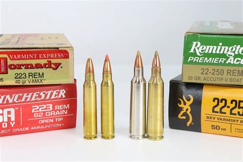 Best Coyote Cartridge: 223 vs 22-250 - Petersen's Hunting