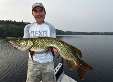 How to identify the rare and beautiful tiger muskie • Outdoor Canada