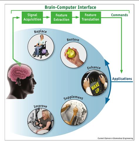 [PDF] EEG-Based Brain-Computer Interfaces. | Semantic Scholar