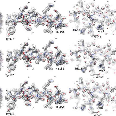 SPA reconstructions. The SR 64k SPA structure of apoferritin (top row ...