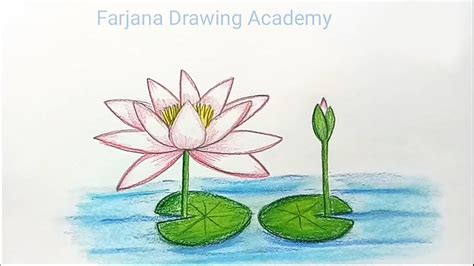 How to draw water lily step by step - YouTube