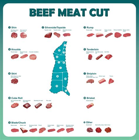 Beef Cuts Chart Printable