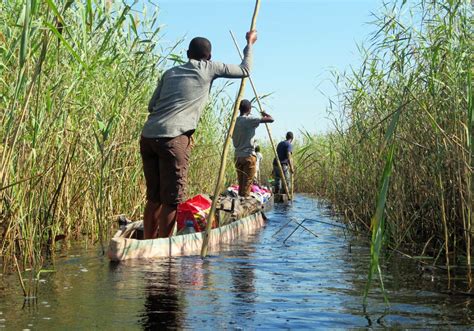 Going On an Okavango Delta Mokoro Camping Safari Deep In the Heart of ...