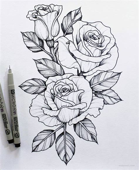 Flower drawing rose | Kol dövmeleri, Çiçek dövmesi, Taslaklar