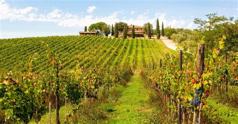 Florence: Private full day tour to Chianti Wine Region | GetYourGuide