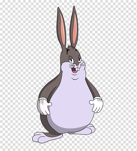 Big chungus HQ transparent background PNG clipart | HiClipart