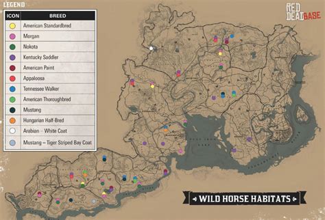 Nokota Horse | RDR2 Horse Breeds Coats, Locations & Stats