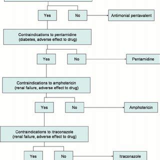 Flow of treatment of patients with mucosal leishmaniasis in a Brazilian ...