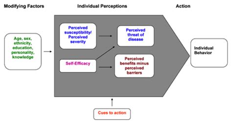 ️ Health belief model examples. Health Belief Model Essay Example for ...