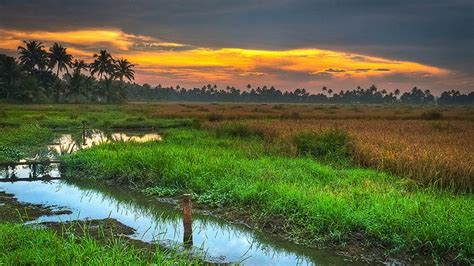 Monsoon Tourism In Kerala: 10 Refreshing Ways To Enjoy It! – Iris Holidays