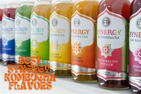 8 Best Synergy Kombucha Flavors (Ranked in 2024)