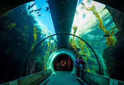 California Science Center - Discover La Mirada California