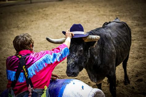 American Bull Fighting Championship