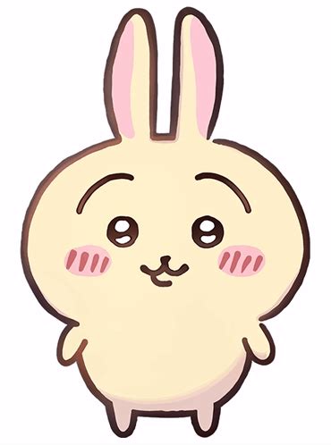 Chiikawa Usagi Sticker - Chiikawa Usagi - Discover & Share GIFs