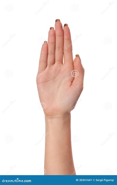 Female Palm Hand Gesture, Isolated on White Stock Image - Image of ...