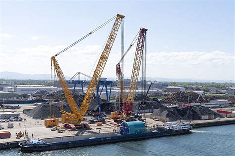 Liebherr crawler crane tandem lift ⋆ Crane Network News