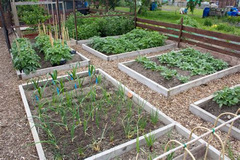 Vegetable Garden Planning -- Harvest to Table