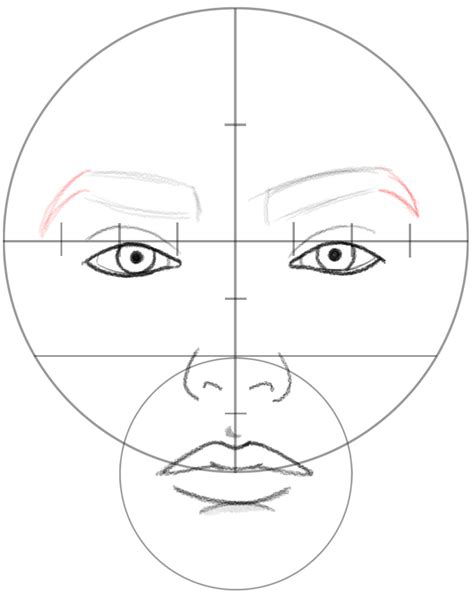 How to Draw a Face in Basic Proportions - Drawing Beautiful Female Face ...