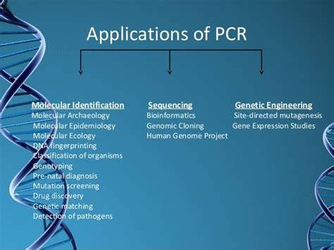 Types of pcr