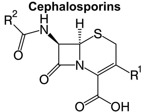 Cephalosporins antibiotics, cephalosporin generations, uses & side effects