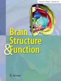 Increased glutamic acid decarboxylase expression in the hypothalamic ...